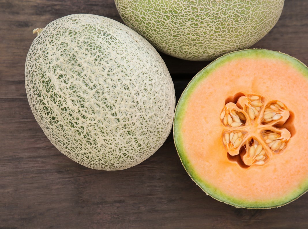 CANTELOPE 1 LBS