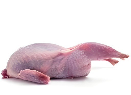 Jumbo Quails 1 EACH