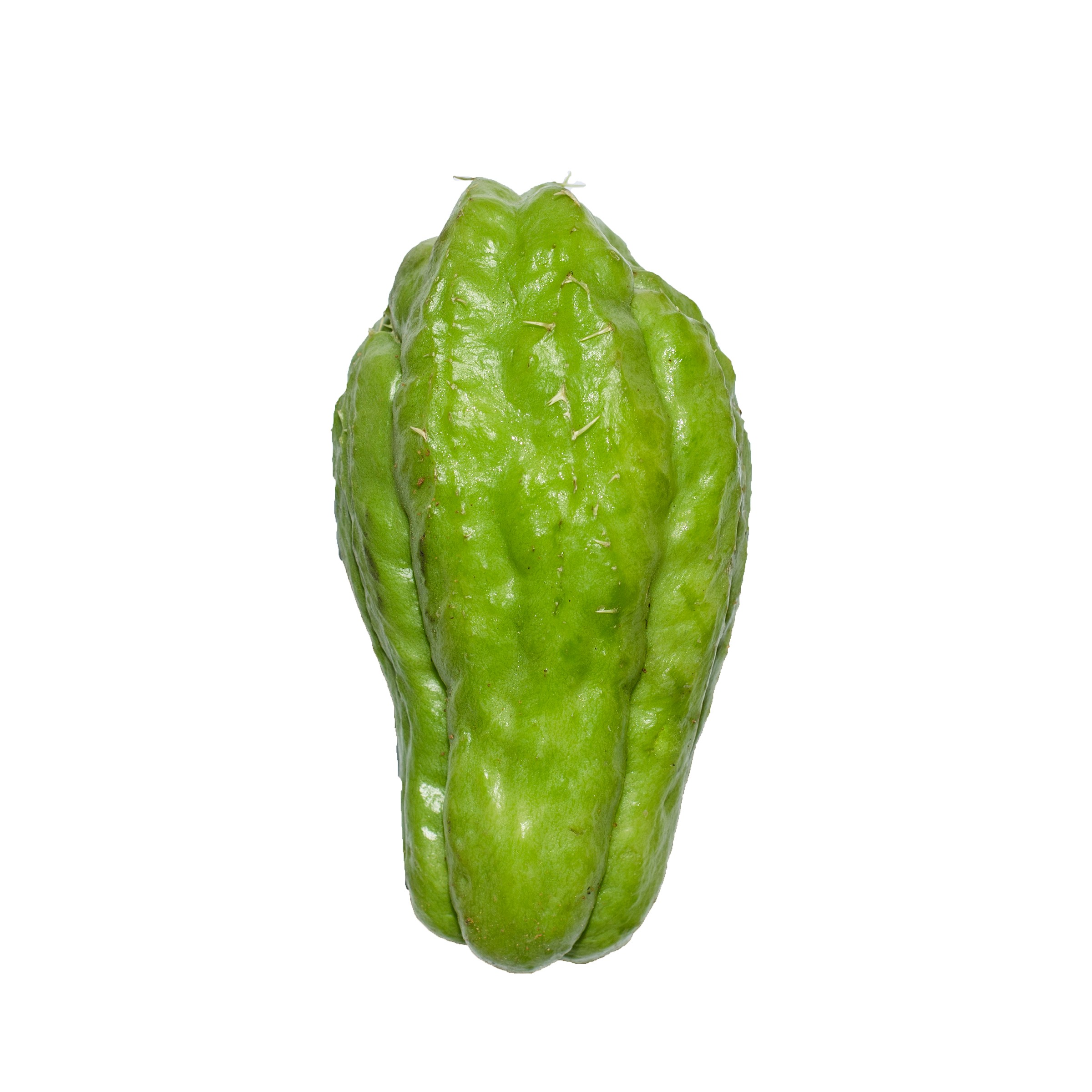 CHAYOTE 1 LBS