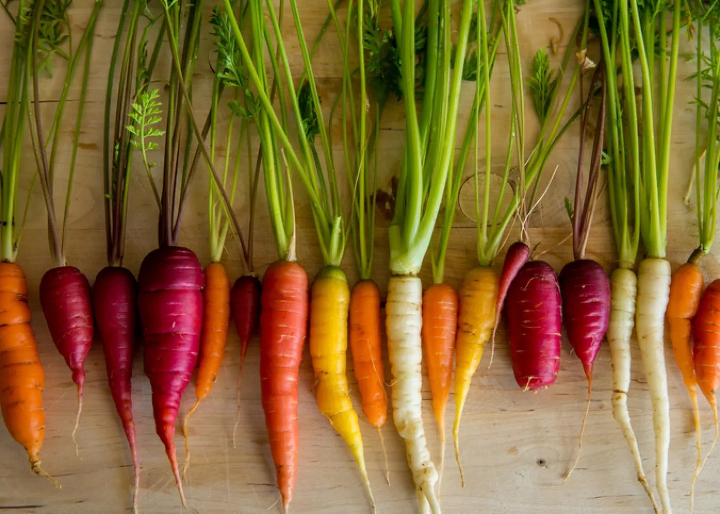 Carrots