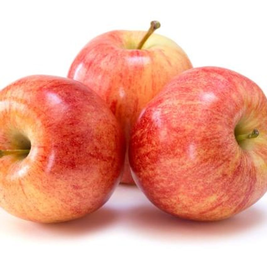 APPLE GALA 1 LBS