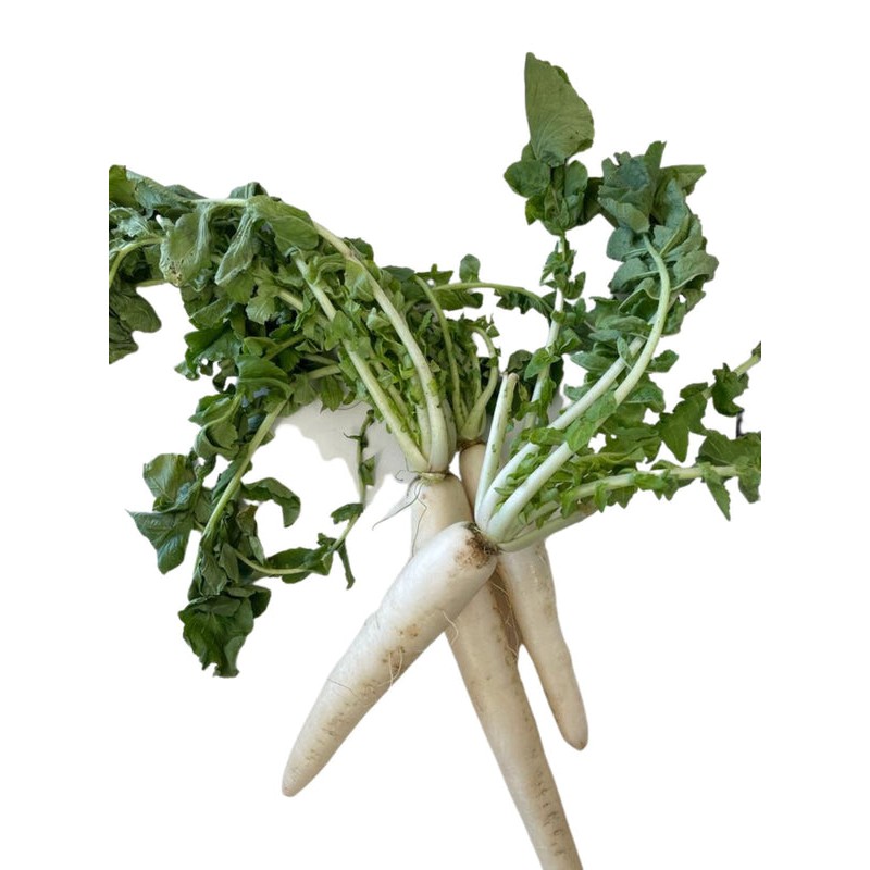 Daikon W/leaves(Mula) 1 LBS