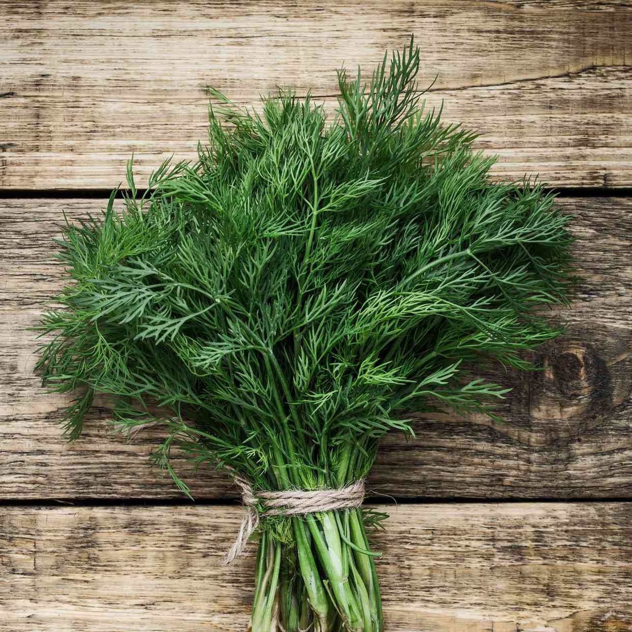 DILL LEAVES 1 BUNCH