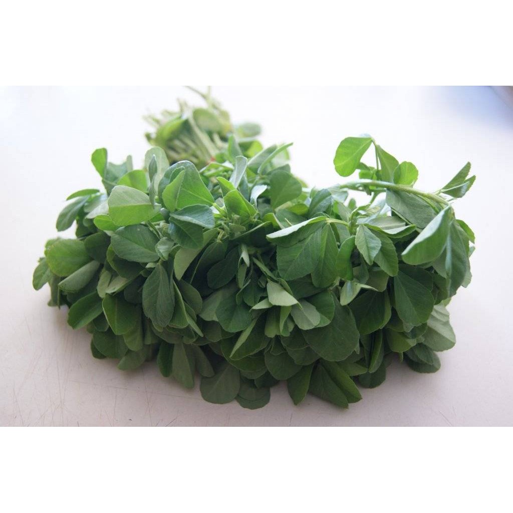 METHI LEAVES 1 BUNCH
