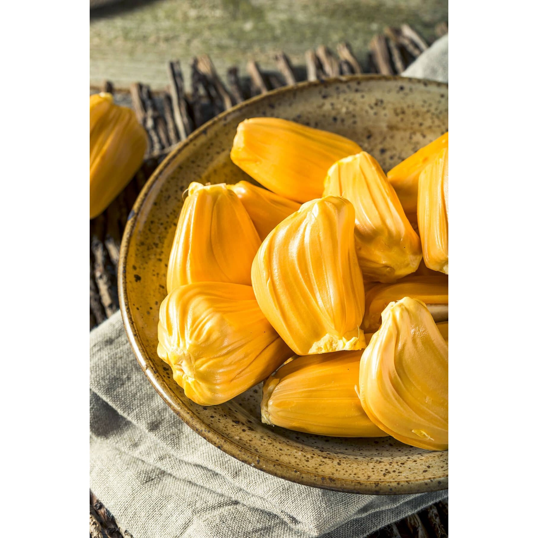 JACKFRUIT 1 LBS
