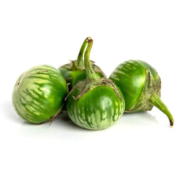 THAI EGGPLANT 1 LBS