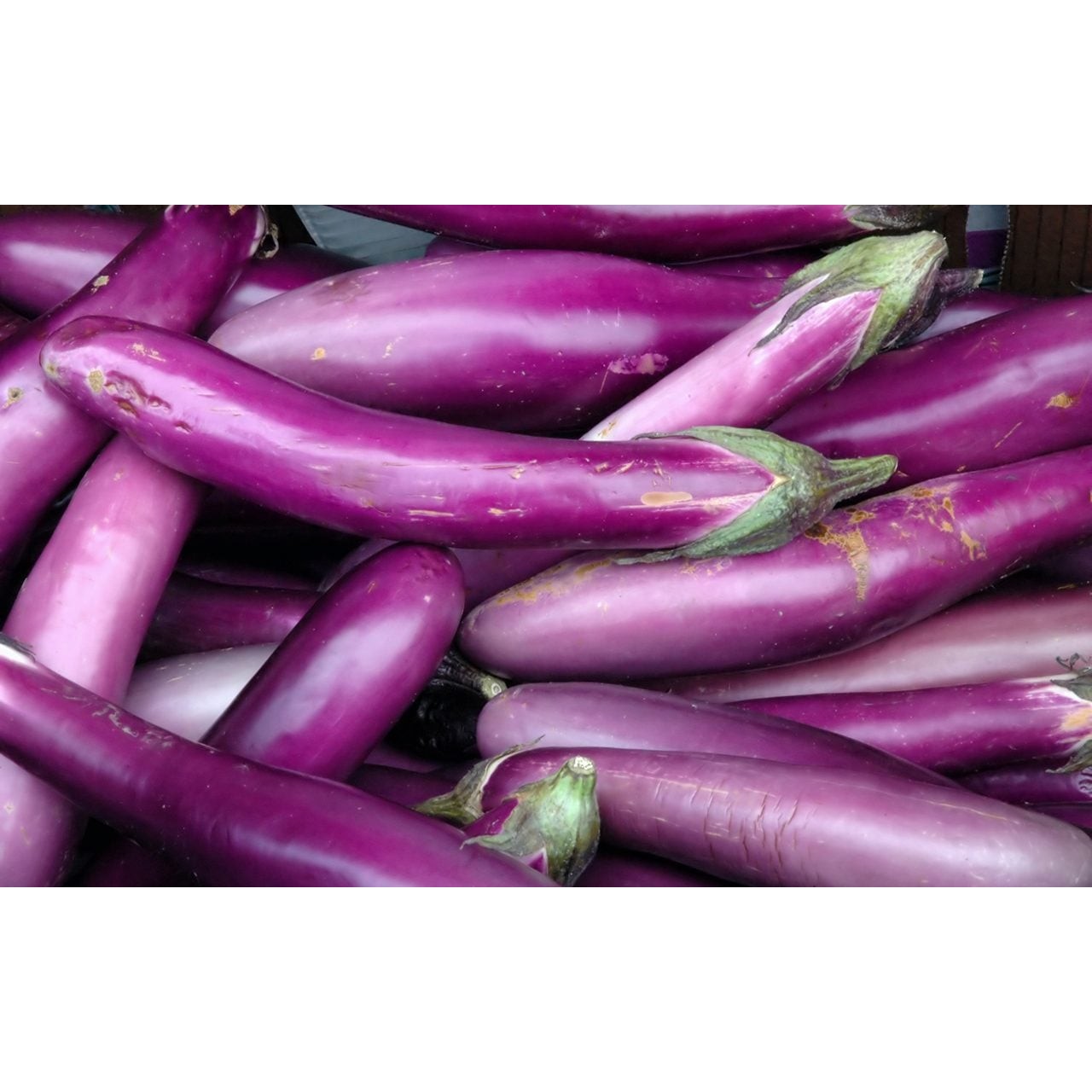 CHINESE EGGPLANT 1 LBS