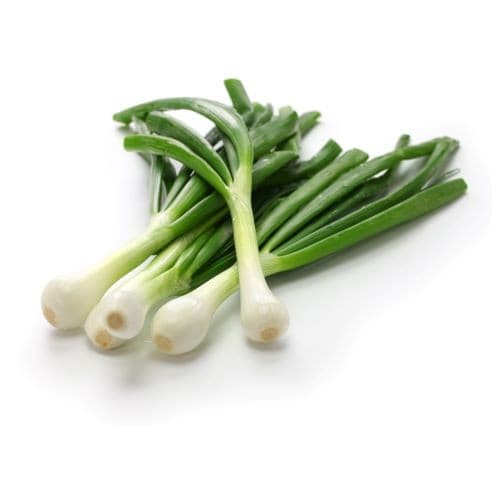 Green Onions Bunch 1 BUNCH