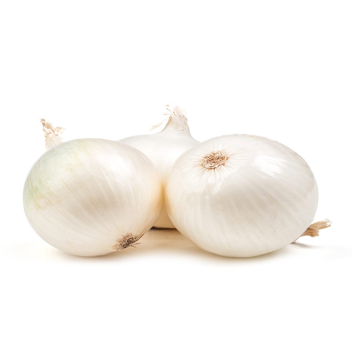WHITE ONION 1 LBS