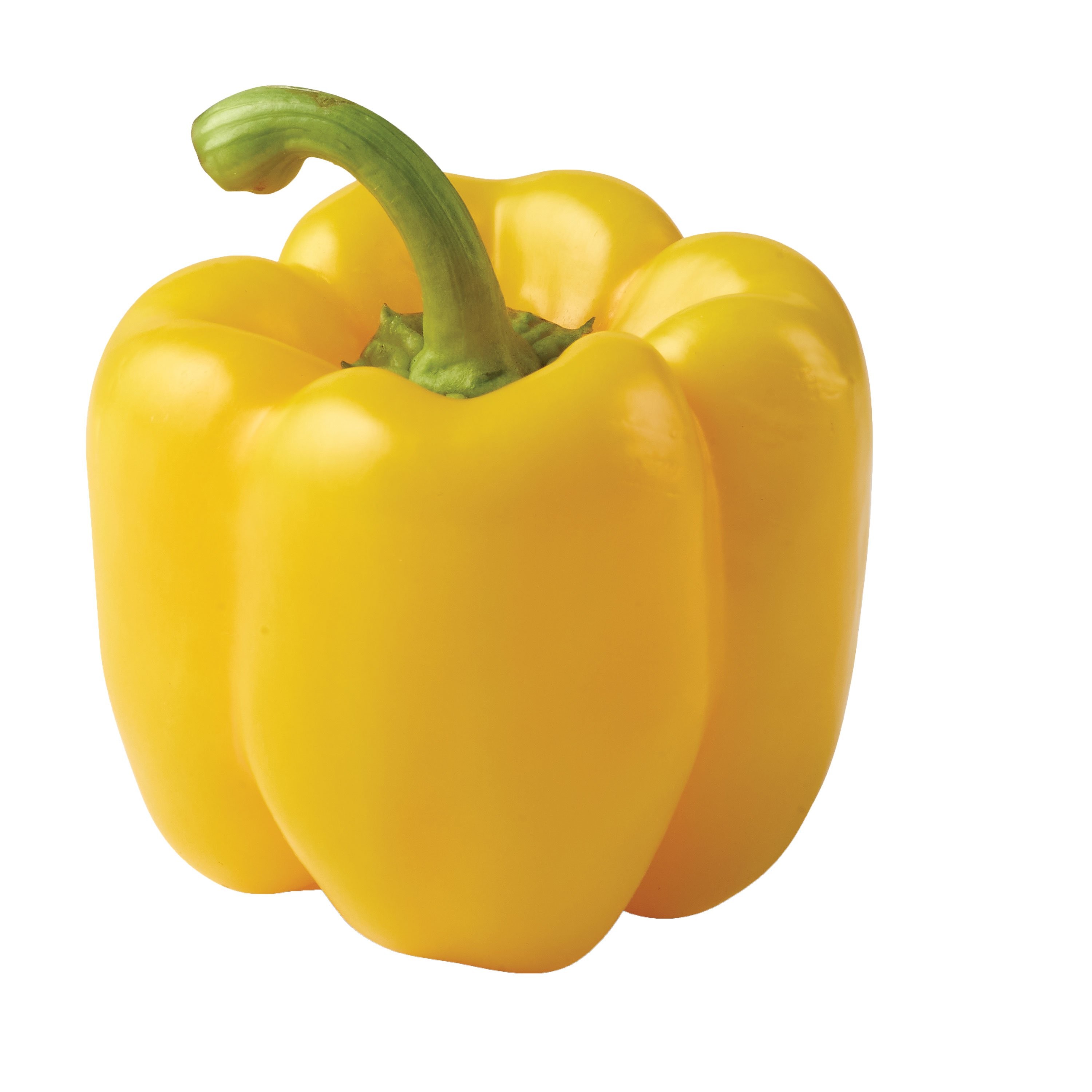YELLOW BELL PEPPER 1 LBS