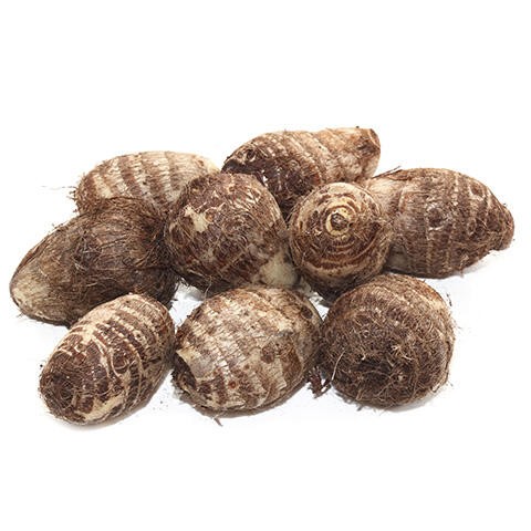 Arvi 1 LBS
