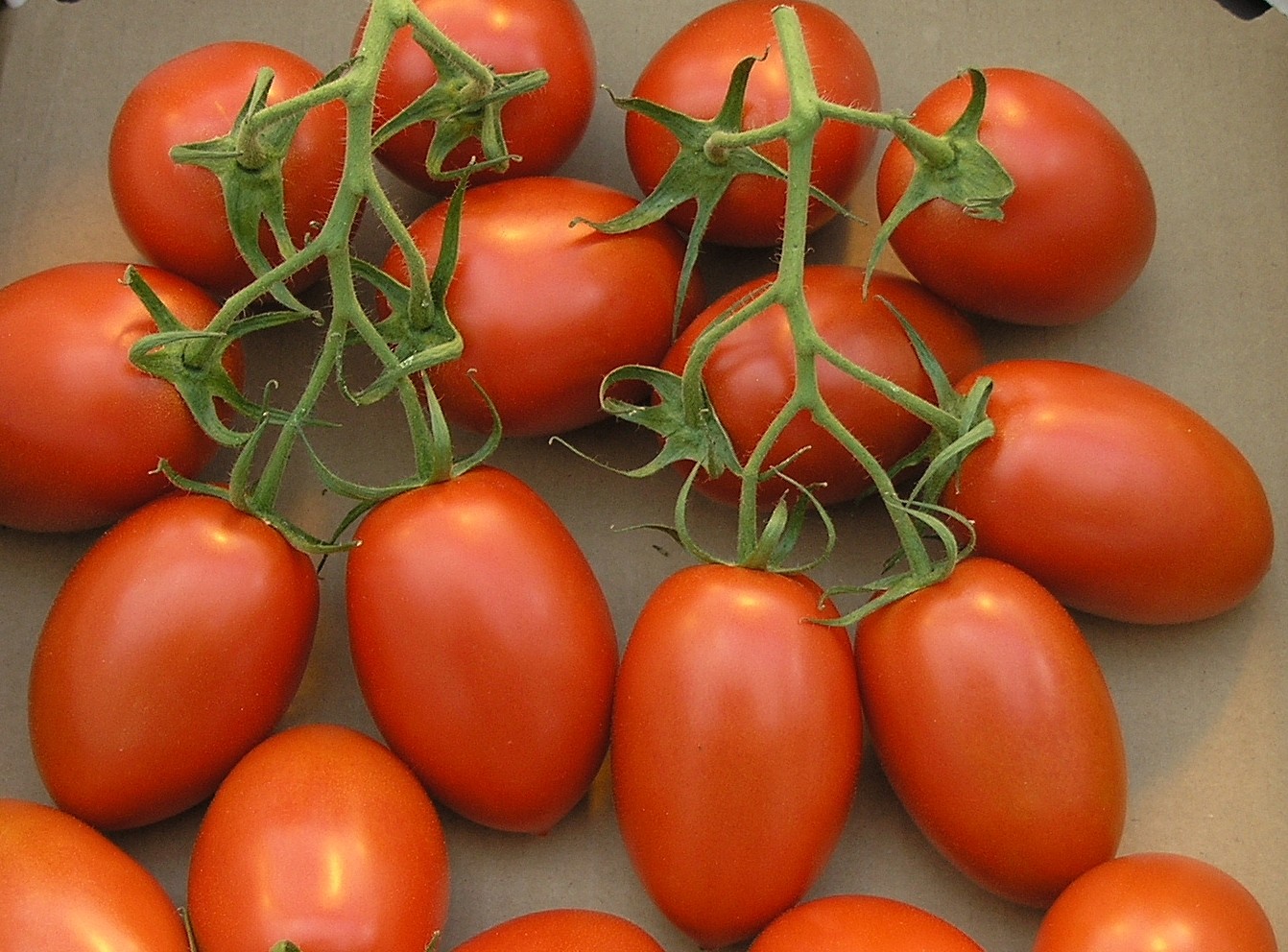 Roma Tomato 1 LBS