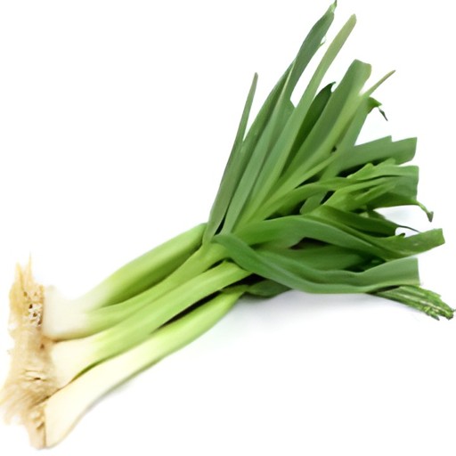 GREEN GARLIC 1 Bunch