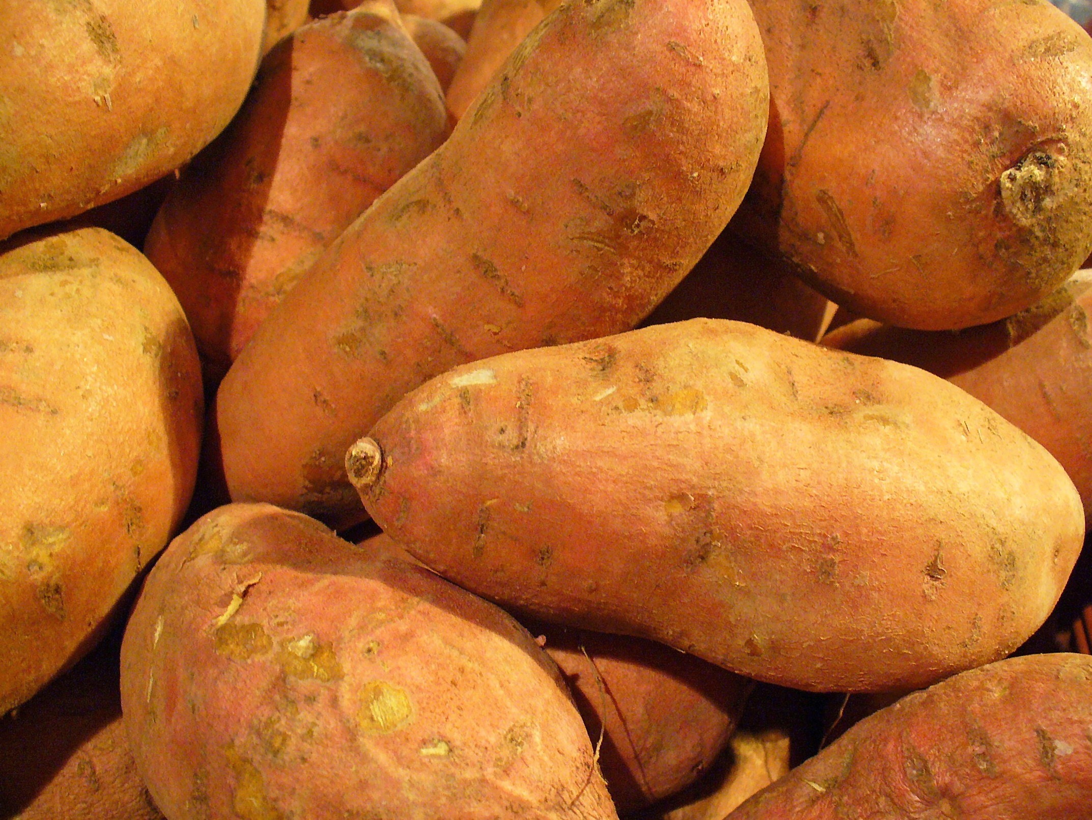 SWEET POTATO 1 LBS