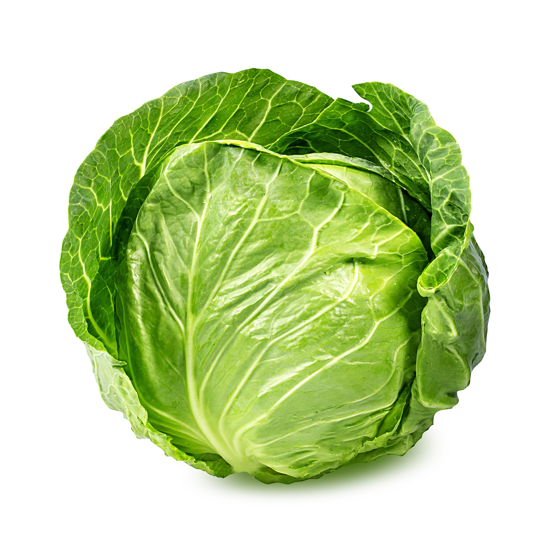 Fresh Cabbage 1 LBS
