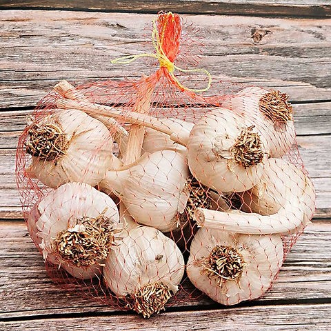 GARLIC SINGLE 1 LBS