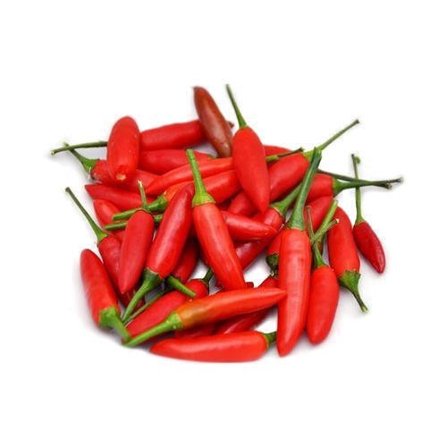Chilli Small Packet 1 Lbs