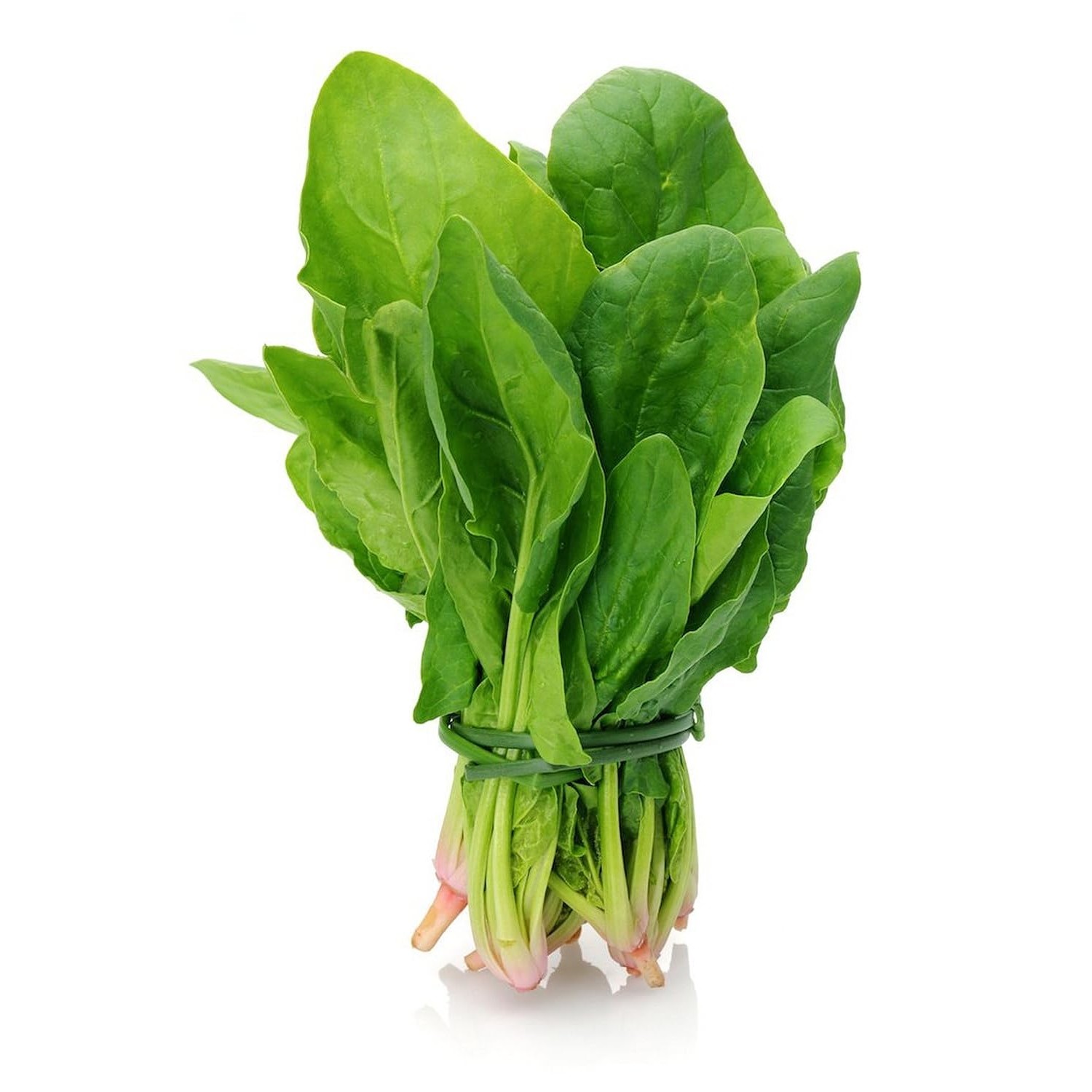 POI LEAVES 1 LBS