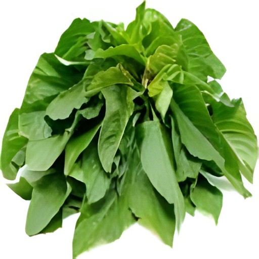 AMARANTH LEAVES RED 1 Bunch
