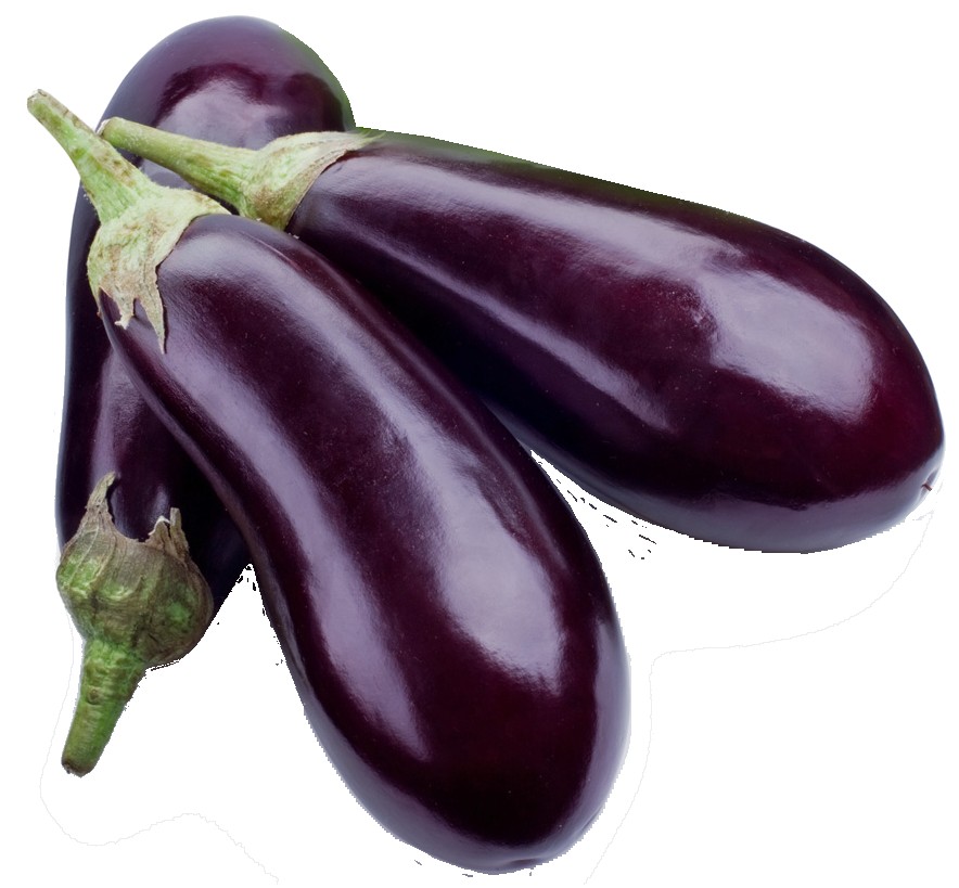 AMERICAN EGGPLANT 1 LBS