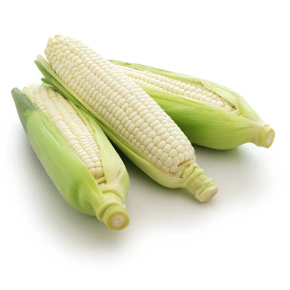 Corn White 1 LBS