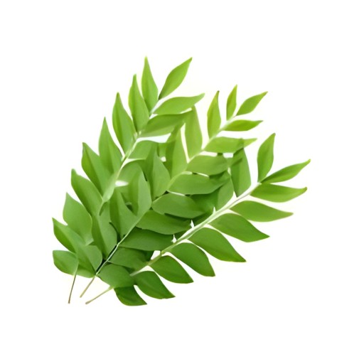 CURRY LEAVES EACH PACK 1 EACH