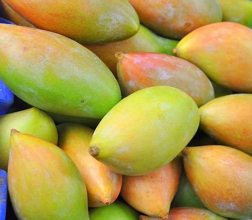 CASE INDIAN MANGO TOTAPURI 1 CASE