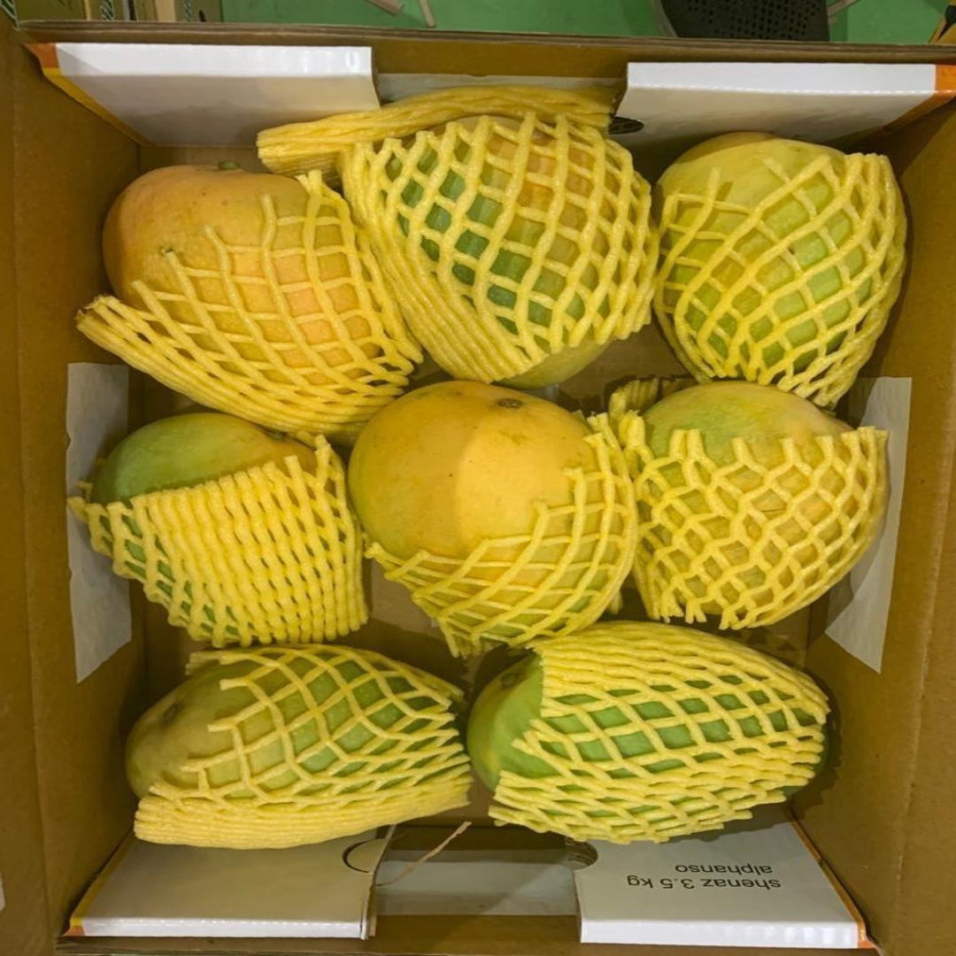 BANGANPALI BOX 1 CASE