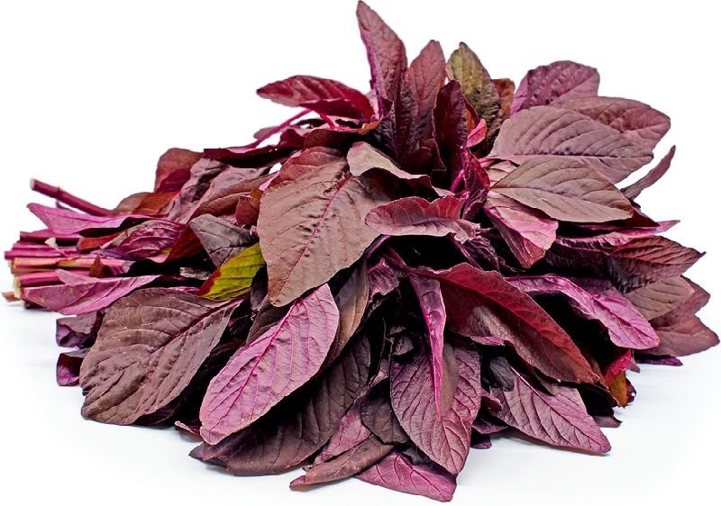 RED LEAVES 1 LBS
