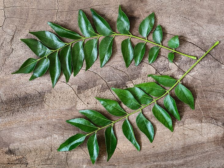 CURRY LEAVES 1 BUNCH
