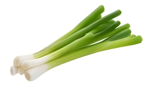 ONION GREEN 1 LBS