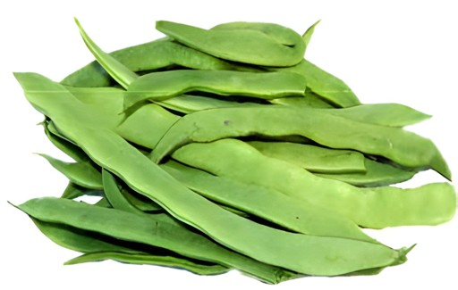European Bean