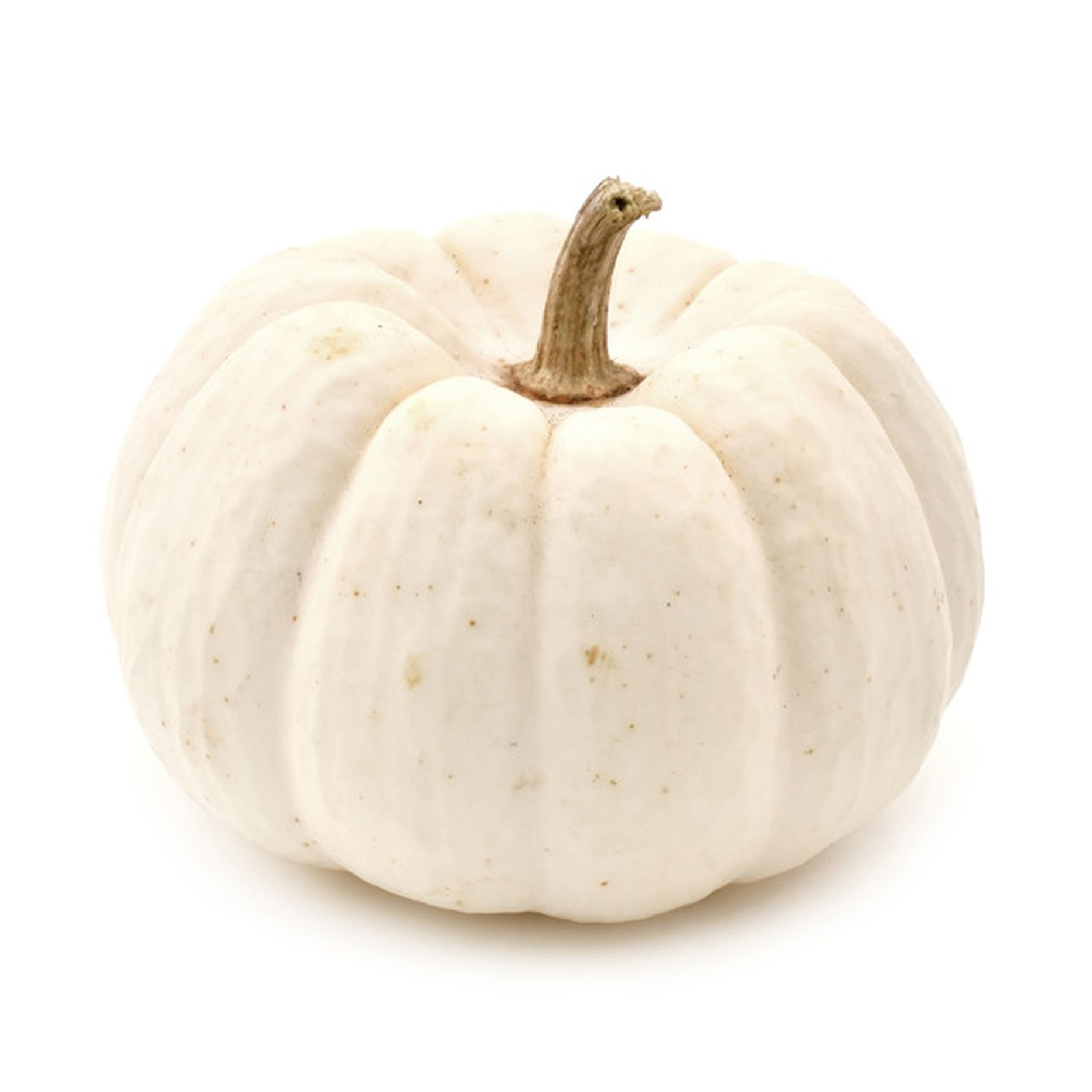 Pumpkin White 1 EACH