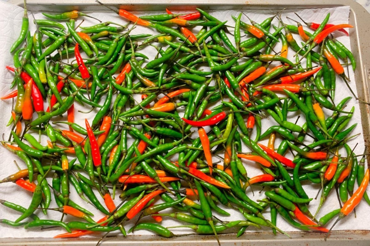THAI CHILLI 1 LBS