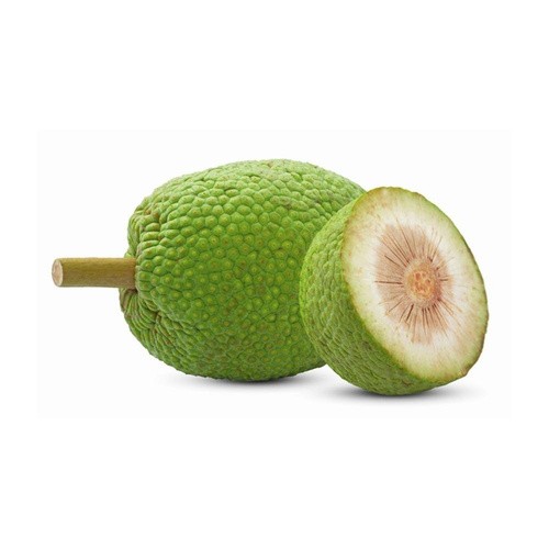 BREAD FRUIT 1 LBS