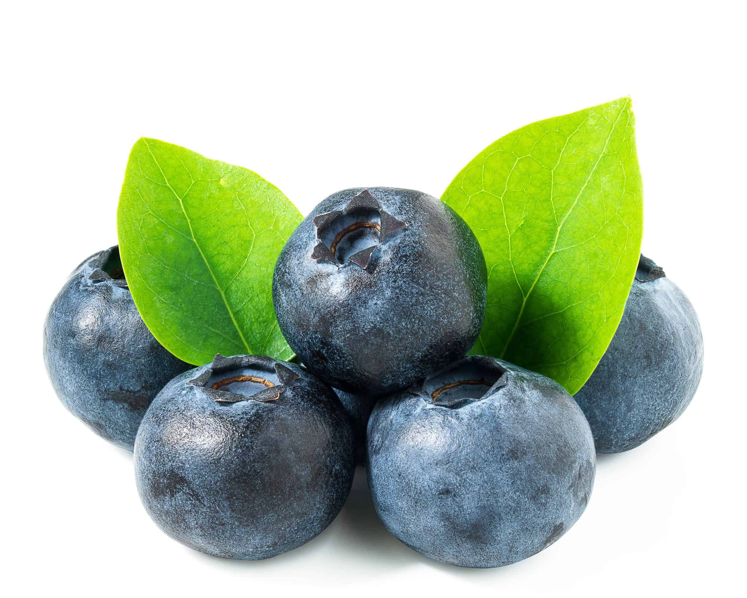 BLUEBERRIES 1 LBS