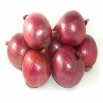Leeks 1 LBS