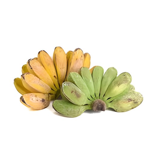 BANANA SABA 1 LBS