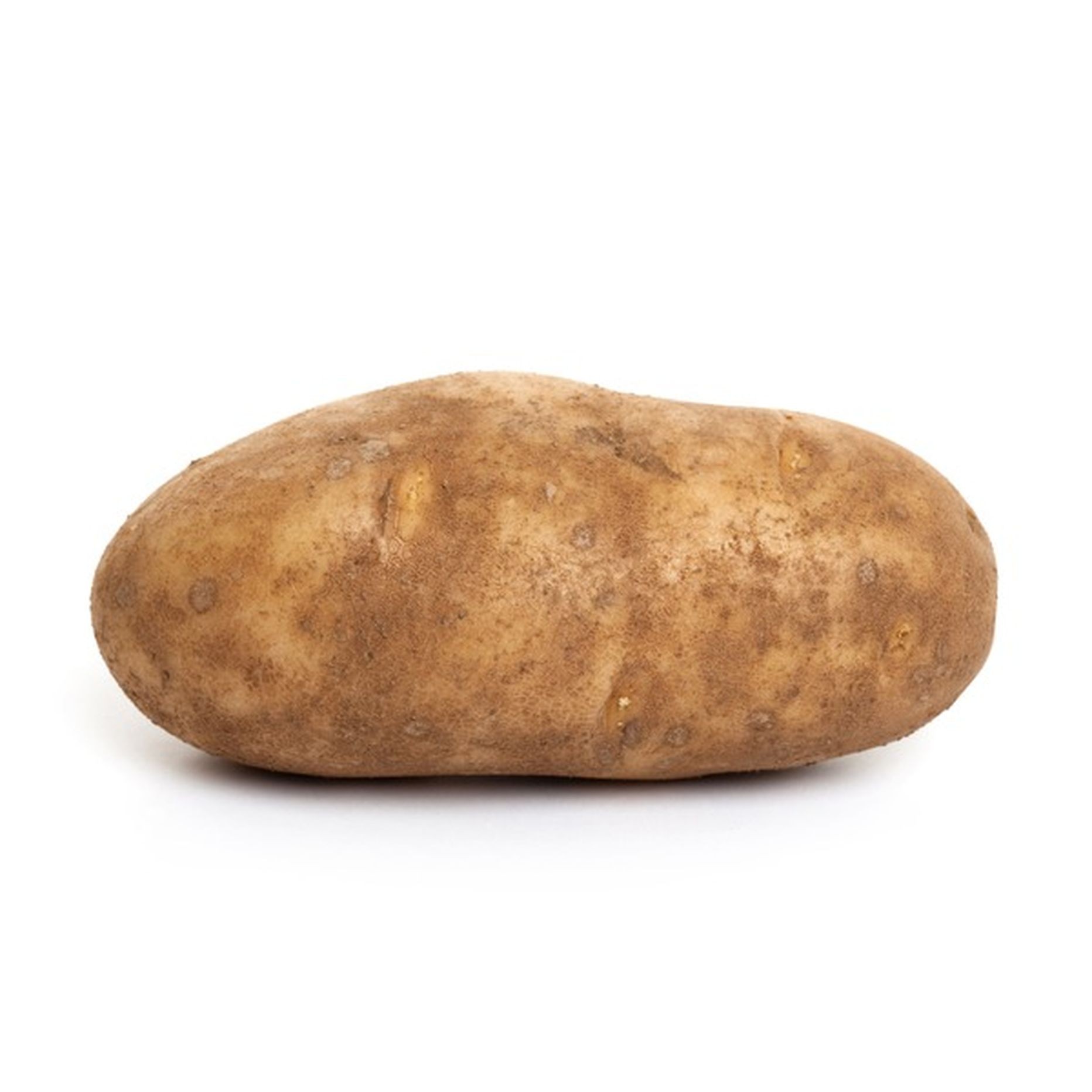 POTATO REGULAR 1 LBS