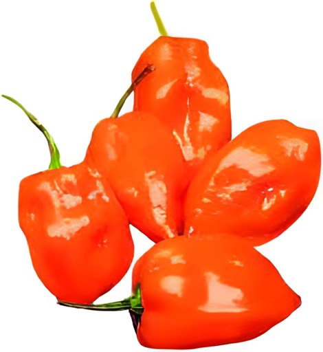 Chilli Habanero 1 LBS