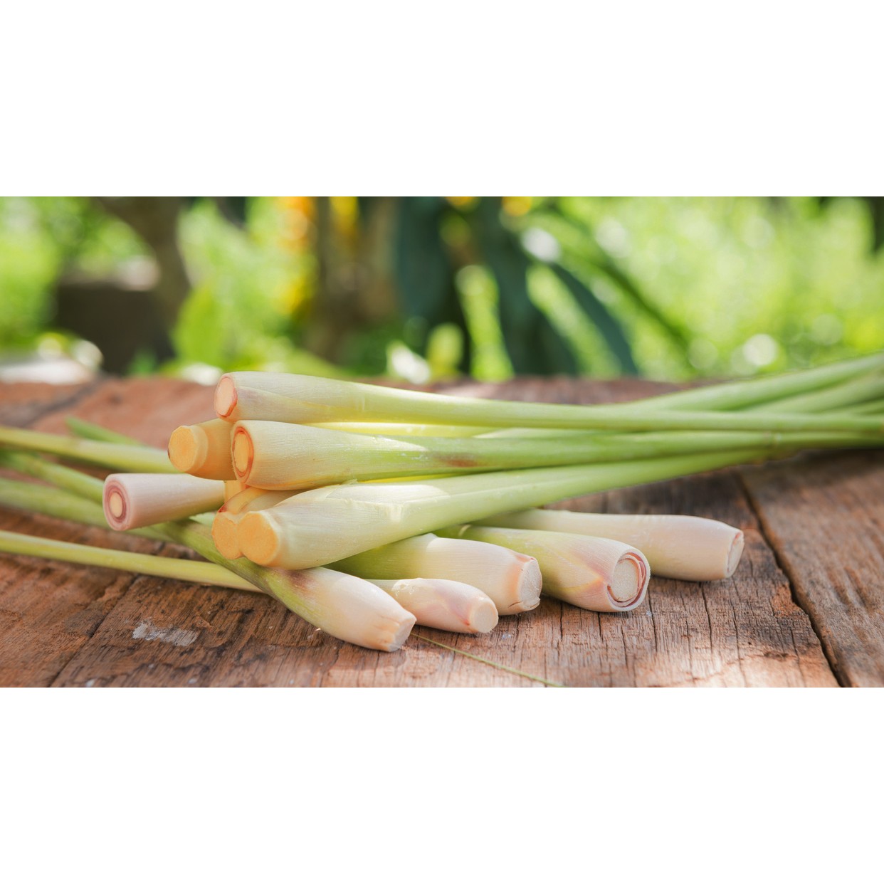 Lemongrass 1 EA