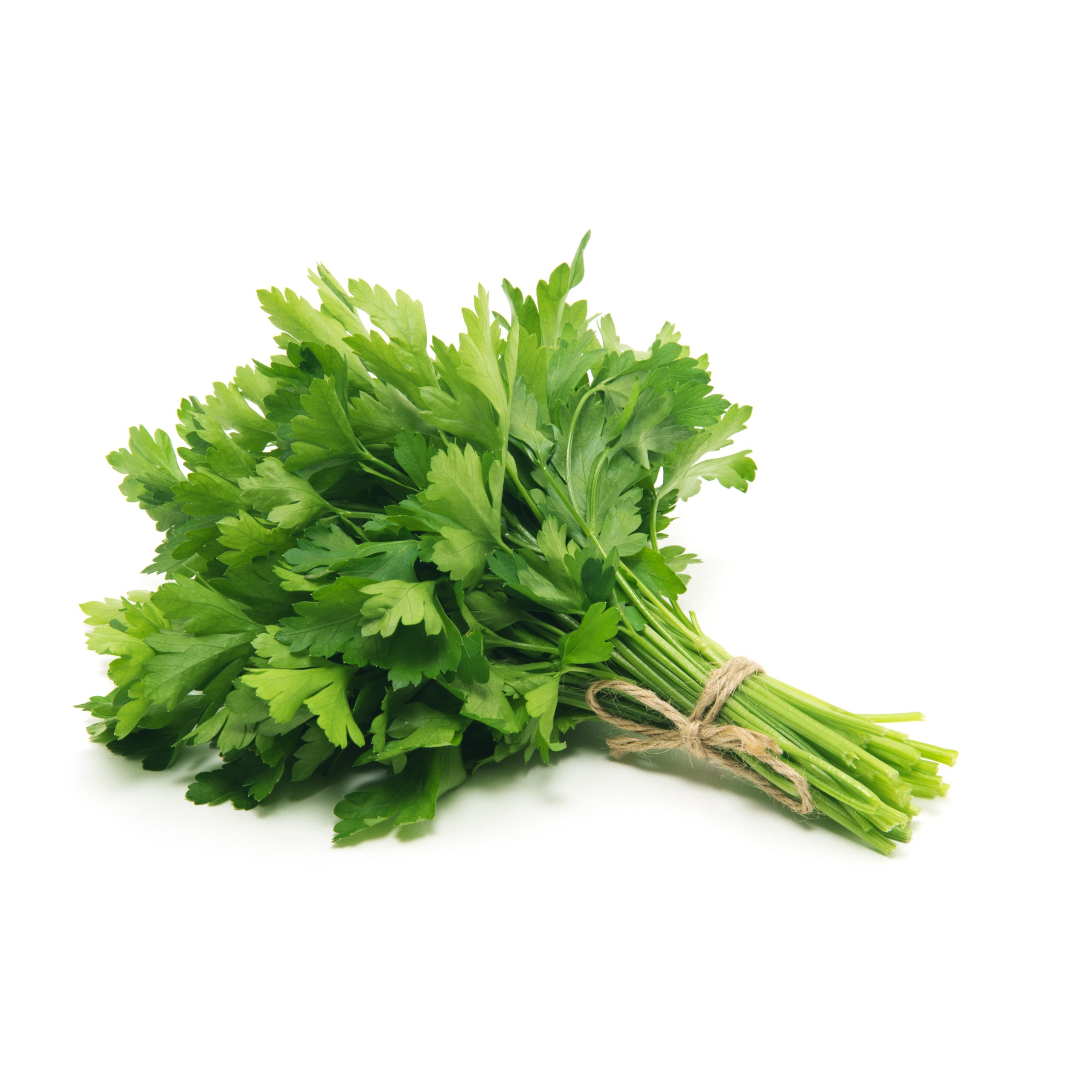 Parsley 1 BUNCH