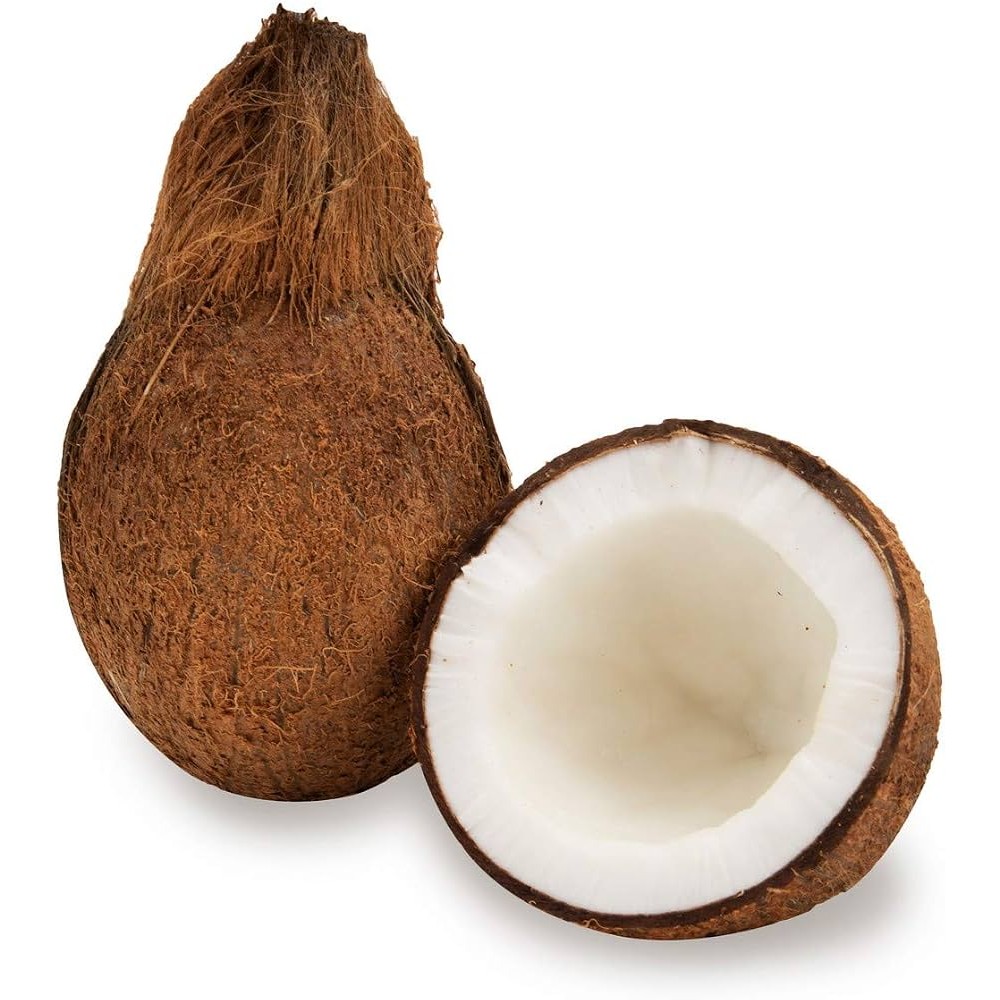 COCONUT 1 EACH