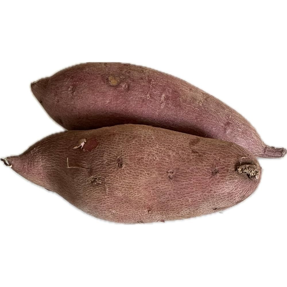 SWEET POTATO 1 LBS