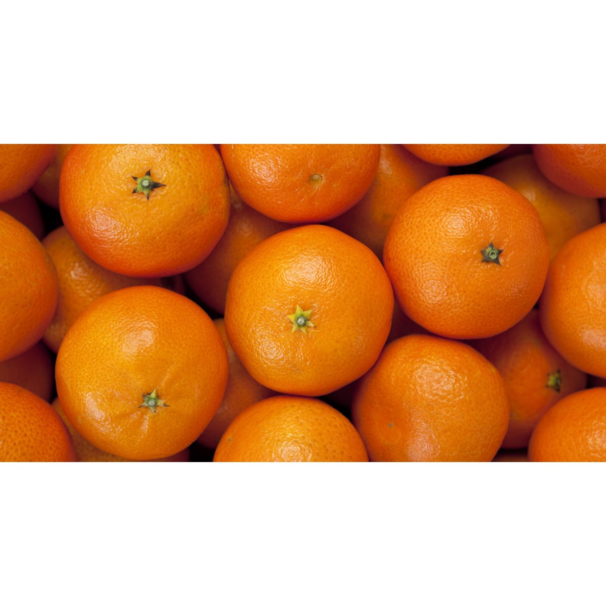 TANGERINE 1 LBS