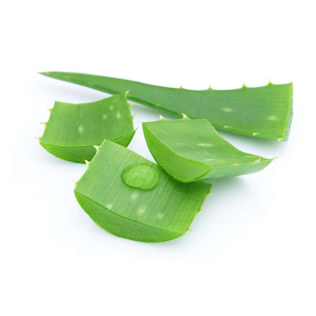 ALOEVERA 1 LBS