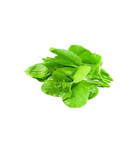 Poi Leaves 1 EACH