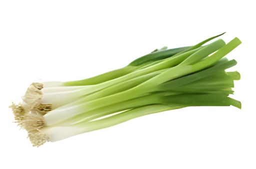 Scallion 1 LBS