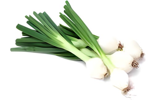 GREEN ONION BUNCH 1PC 1 PCS