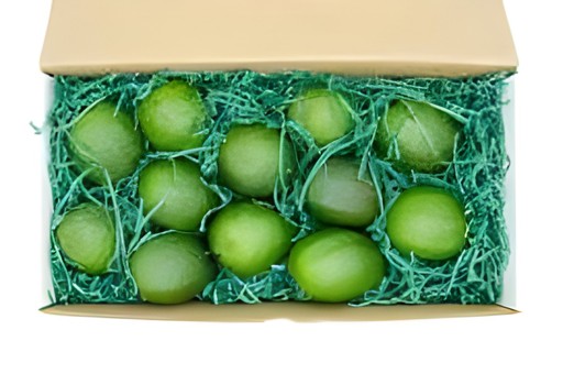 Avacado 1 LBS